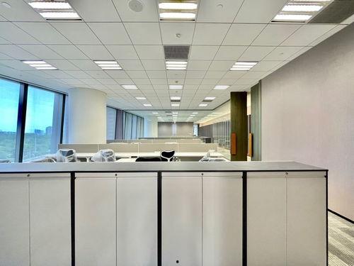 玫瑰女侠爆料视频大全集,揭秘幕后真相与精彩瞬间  第3张