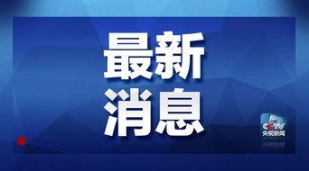杜导最新爆料消息新闻,揭秘电影幕后故事与幕后英雄  第1张